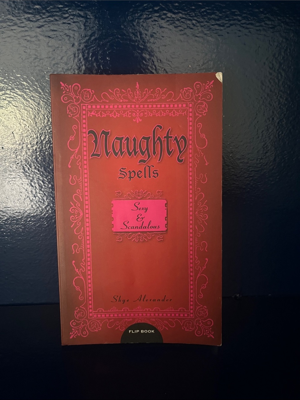 Naughty Spells "Sexy & Scandalous" Flip Book - Red Cover